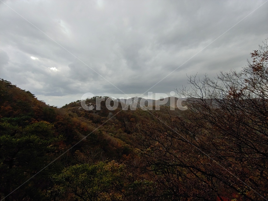 산,등산,가을,낙엽,산악회,내변산,가을,계절,fall,autumn,season,자연,풍경,nature,landscape,한국자연풍경,한국자연경관,korea nature landscape,outdoors,옥외