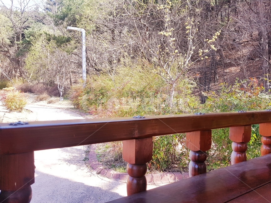 정자,육각정,쉼,의자,휴식,햇살,따뜻함,봄,바람,시원함,그늘,공원,아파트,산책로,조형물,도심속,나무,건축물,건물외관,exterior,building,structure,architecture,construction