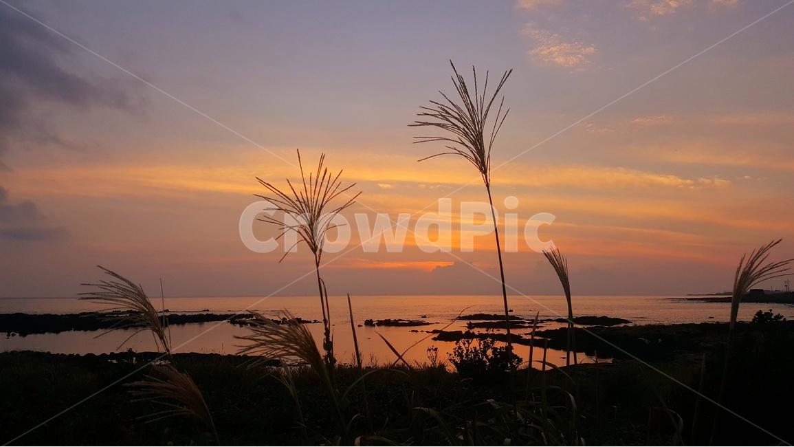 일출,노을,풍경,감성,제주,제주풍경,하늘,구름,자연,바다,자연,풍경,nature,landscape,한국자연풍경,한국자연경관,korea nature landscape,제주도,jeju,jeju island,plant,식물,grass,잔디,outdoors,옥외,dusk,황혼,sunset,일몰,sky,red sky,붉은 하늘,dawn,새벽