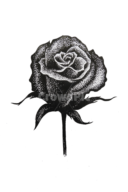 장미그림,파스텔,미술,색상,컬러,파스텔톤,색깔,유화,수채화,연필,점묘법,꽃,flower,예술,art,흑백,모노톤,monochrome,black and white,누끼,remove background,그래픽,일러스트레이션,graphic,illustration