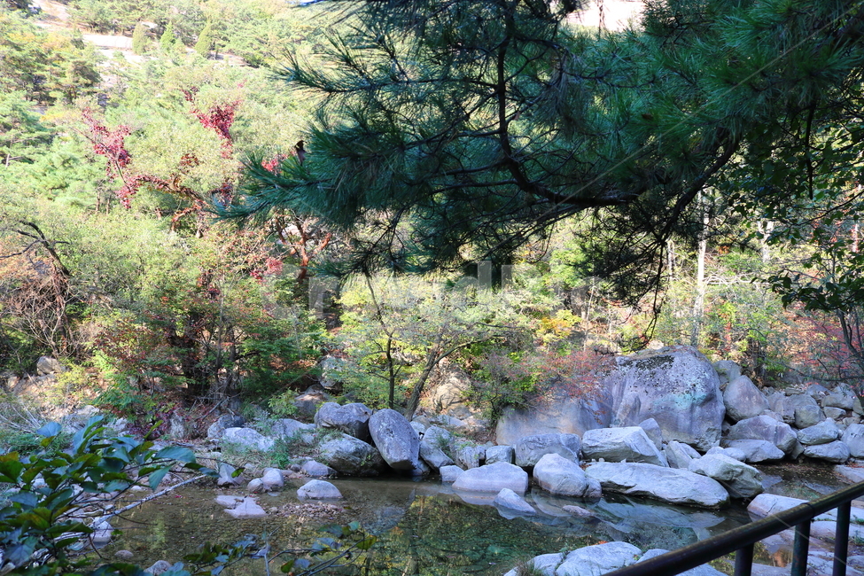 북한산,계곡,물,자연,풍경,맑은물,돌,바위,개천,나무,식물,공원,국립공원,북한산국립공원,산책로