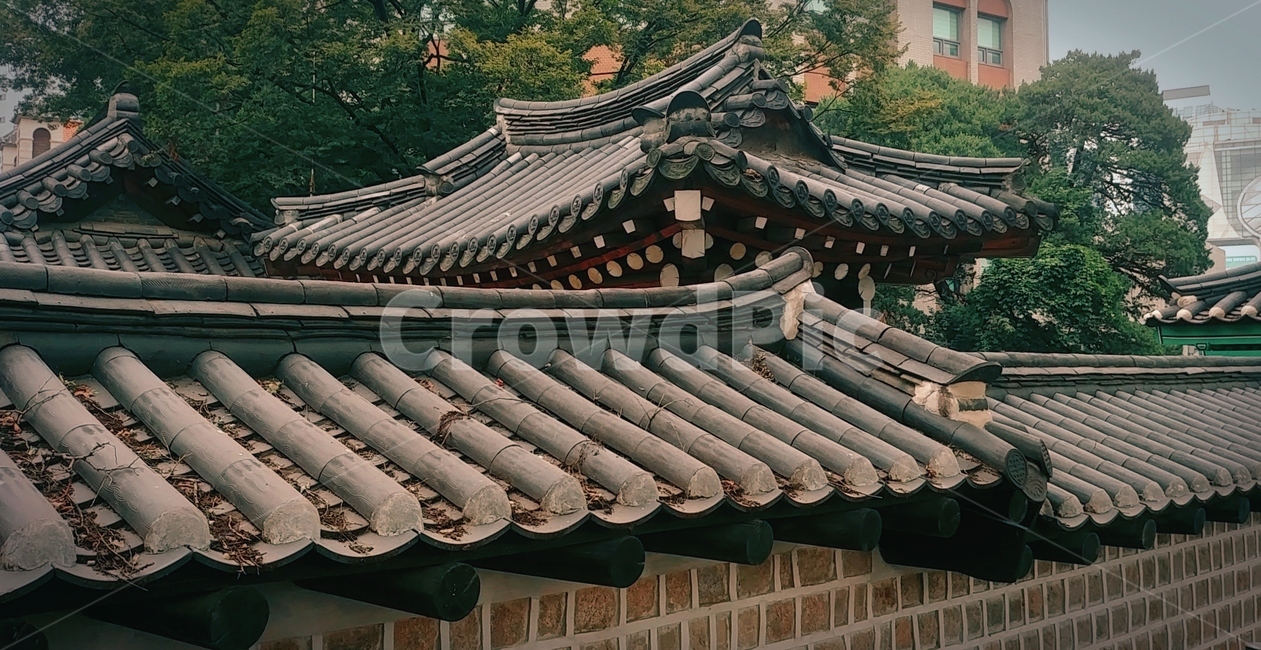 한옥,기와,건축,전통,지붕,한국,한국전통,한국문화,korean traditional,korean culture,건축물,건물외관,exterior,building,structure,architecture,construction