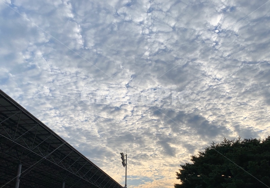 하늘,노을,자연,햇빛,특이한구름,양털구름,자연,풍경,nature,landscape