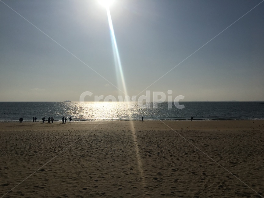 바다,해변,대천,대천해수욕장,겨울바다
