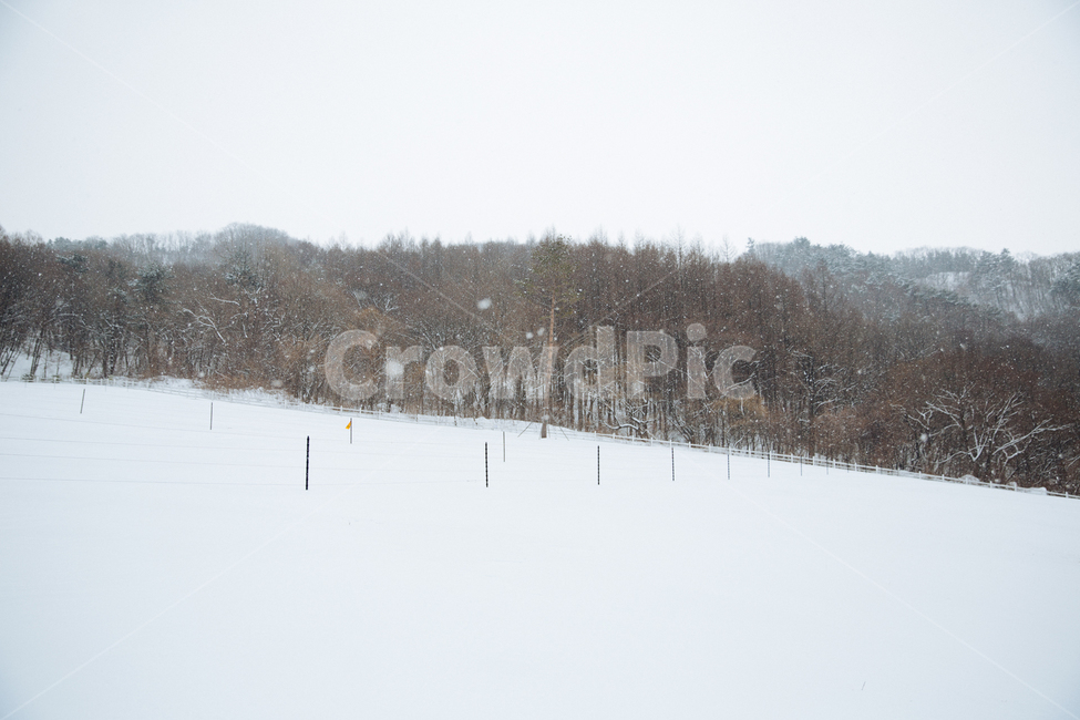 겨울,눈,풍경,감성,스냅,겨울,계절,winter,season,자연,풍경,nature,landscape,outdoors,옥외,storm,폭풍,snow,blizzard,눈보라