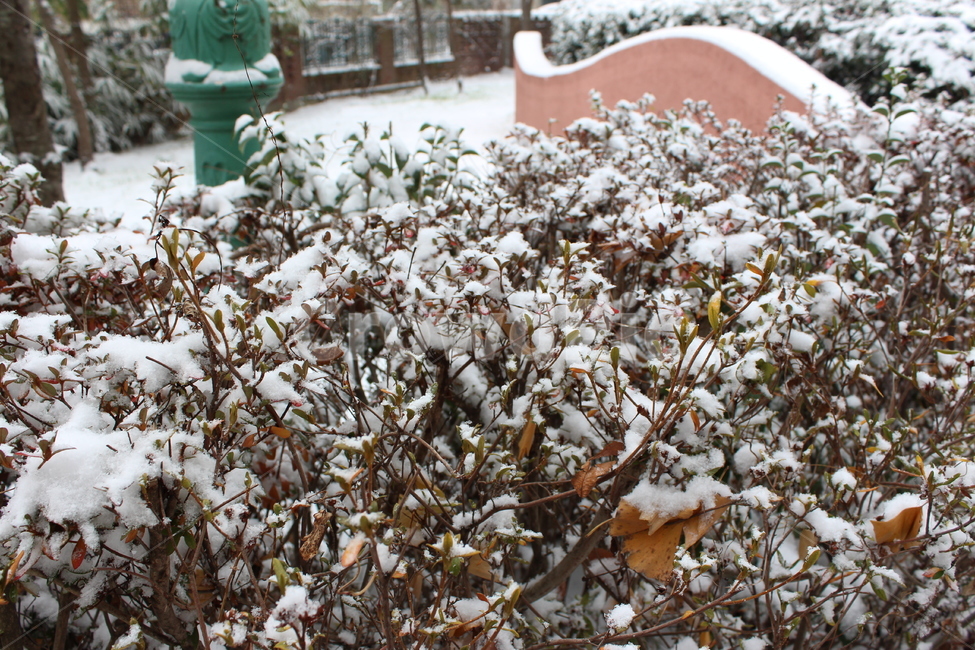 겨울,눈,snow,풍경,landscape,snowing,winter,겨울아침