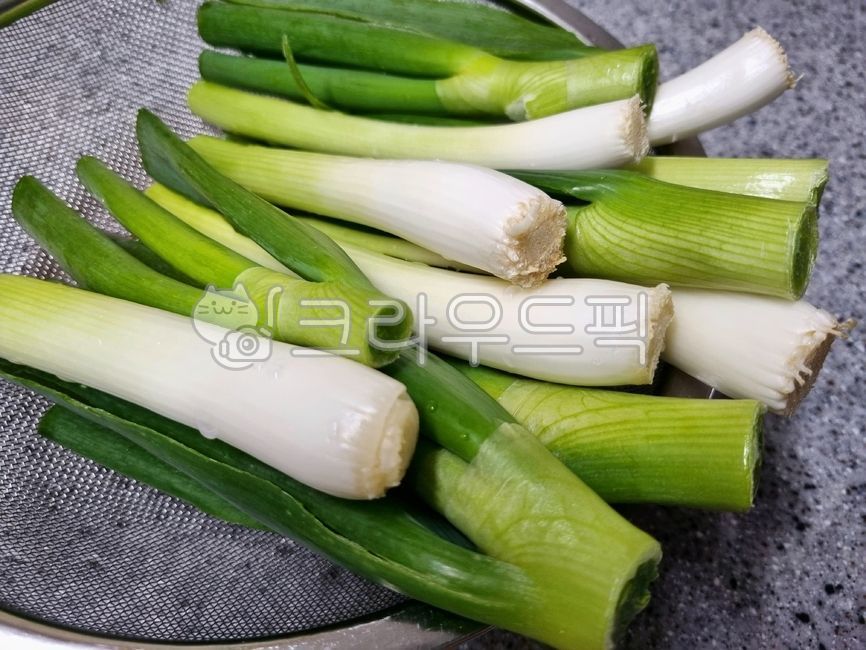 음식, food, 파, 대파, greenonion, 사진,이미지,일러스트,캘리그라피 - 작가 DREAM작가