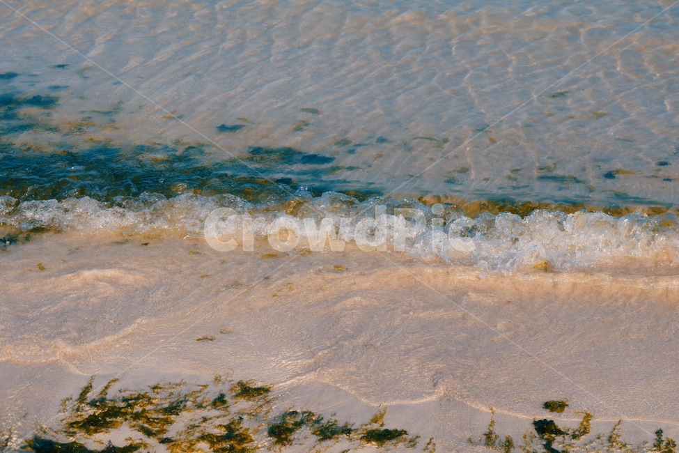 nature,자연,water,물,outdoors,옥외,sea,바다,ocean,대양,파도,wave,투명한,clear,미역,seamustard,감성,sensitivity,자연,풍경,nature,landscape