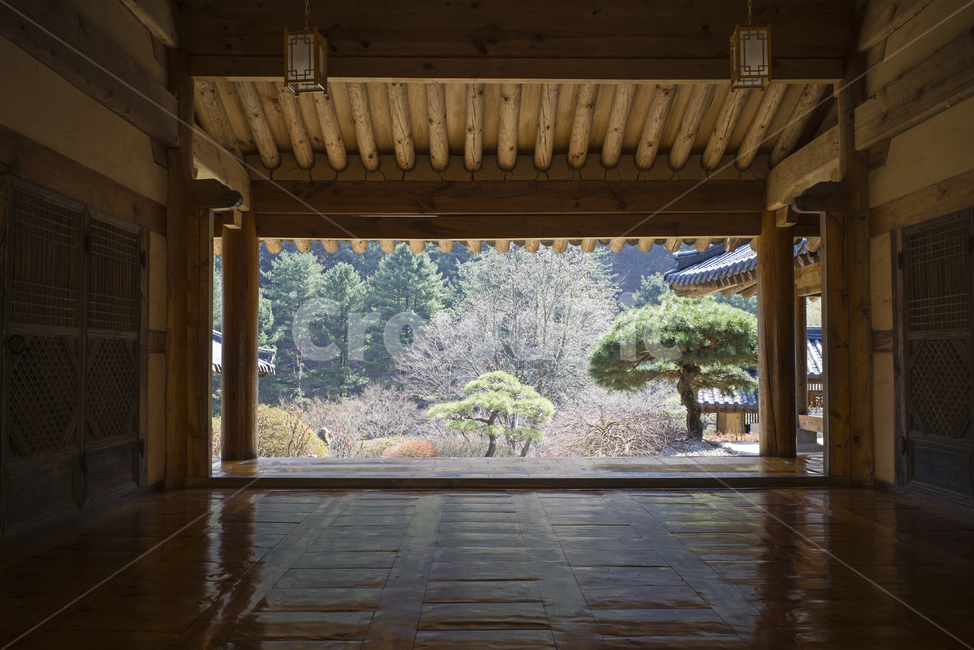 traditional,house,interior,전통가옥,봄,마루,현관,안마당,wood,나무,flooring,바닥,outdoor,ancient,nature,frame,프레임