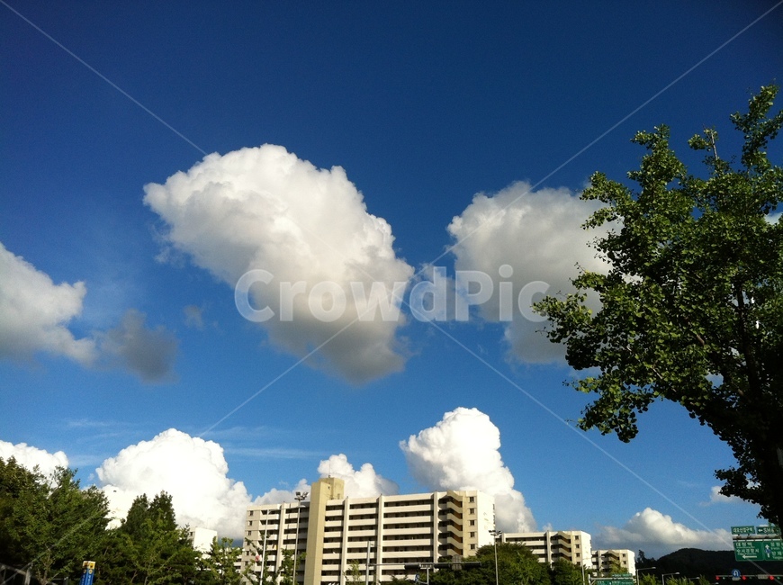 뭉게구름,구름,하늘,풍경,sky,cloud,도시,풍경,city,landscape,한국도시풍경,한국도시경관,korea cityscape,nature,자연,weather,날씨,outdoors,옥외,cumulus,적운