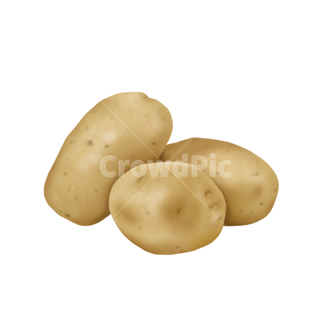 음식,식재료,food,일러스트,png,디저트,dessert,음식,식재료,요리,food,cook,meal,dishes,food reserves,그래픽,일러스트레이션,graphic,illustration