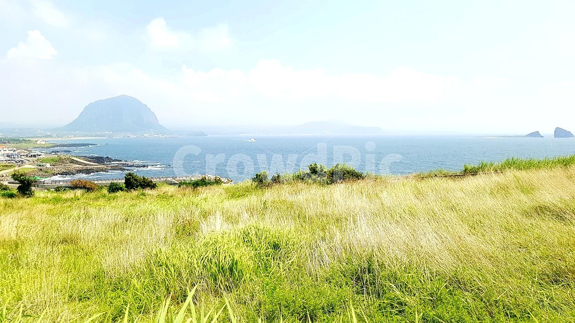 바다,제주도,갈대,산방산,차귀도,형제섬,봄,자연,풍경,nature,landscape,outdoors,옥외,grassland,목초지,field,들