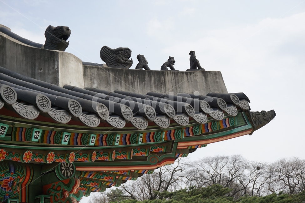 창덕궁,건축,고궁,스냅,아날로그,조선왕조,한국전통,한국문화,korean traditional,korean culture,건축물,건물외관,exterior,building,structure,architecture,construction
