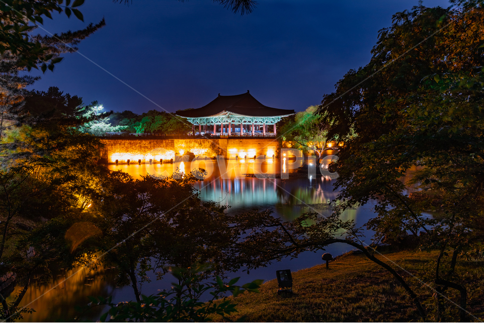 경주,안압지,고궁,안압지야경,한국전통,korea,koreantraditional,anabji,호수,정원,garden,lake,야경,밤하늘,night,nightscape,nightview,불빛,전통건축물,전통