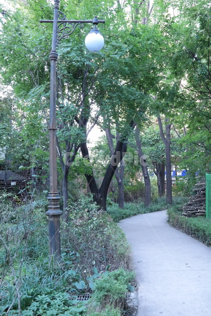 숲길,오솔길,나무,풀,forest,foret