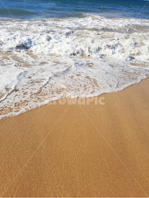 하와이,바다,파도,해변,모래,물결,hawaii,beach,sandybeach,wave,해변,바다,beach,sea