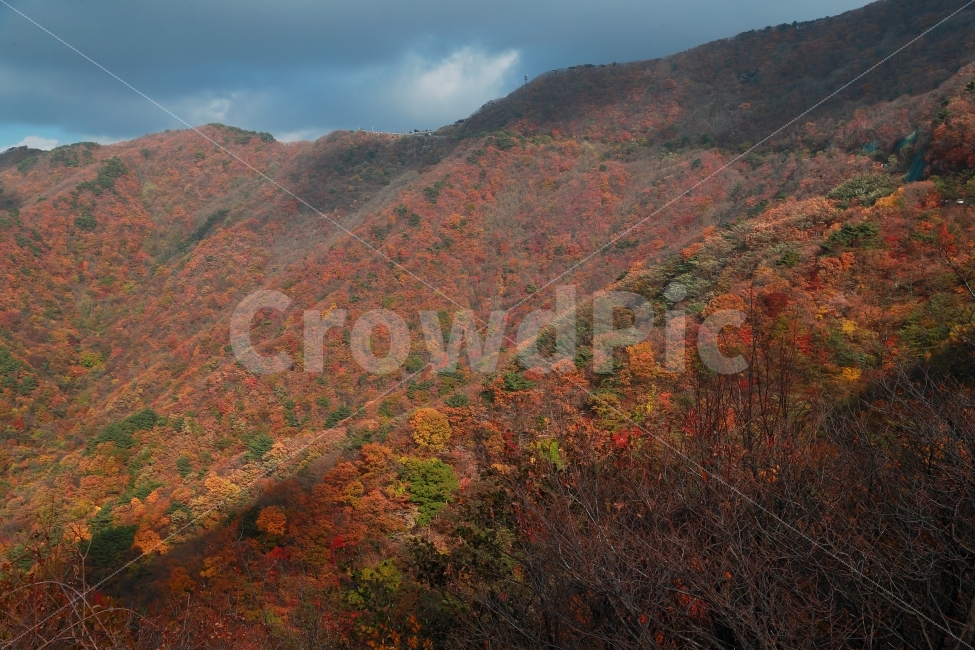 지리산,가을,단풍,물들어,불타오르는,가을,계절,fall,autumn,season,자연,풍경,nature,landscape,한국자연풍경,한국자연경관,korea nature landscape,outdoors,옥외,hill,언덕