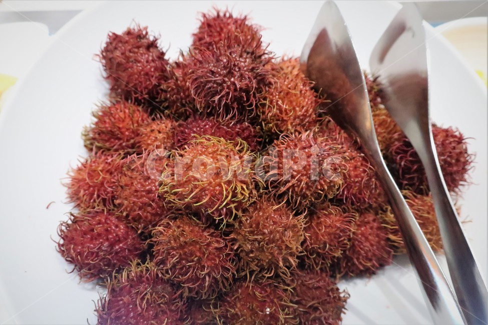 열대,과일,람부탄,열매,식물,말레이시아,털,돌기,과육,열대과일,과일,열매,fruit