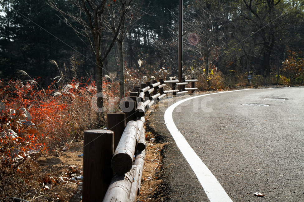 가을,풍경,자연,도로,울타리,커브,길,숲,단풍,시골,나무,교통,차선,하늘,autumn,landscape,nature,road,fence,curve,path,forest,maple,tree,traffic,sky,가을,계절,fall,autumn,season,자연,풍경,nature,landscape