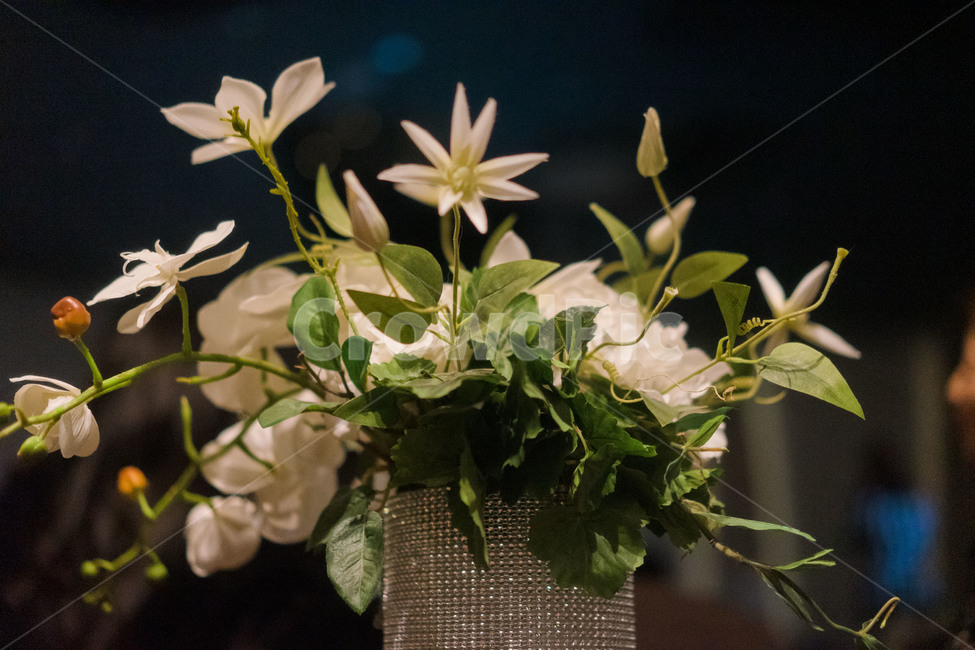 식물,blossom,꽃,flower,결혼식,예식장,잔잔과,예식테이블