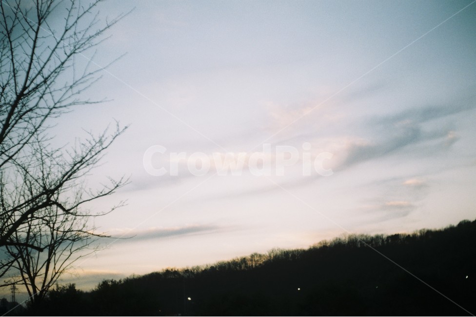 필름카메라,감성사진,하늘,구름,나무,자연,풍경,nature,landscape,outdoors,옥외