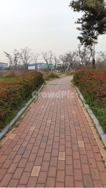공원,길,산책로,산책,풀,나무,풍경,식물,자연,plants,nature,꽃,flower,자연,풍경,nature,landscape,path,통로,walkway,보도,flagstone,판석,pavement,포장,sidewalk