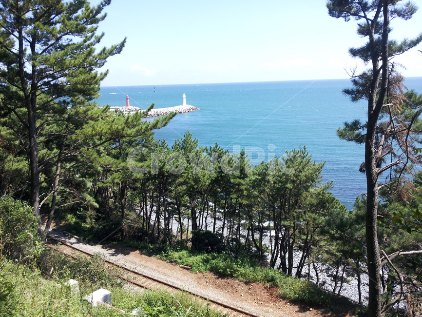 바다,sea,ocean,대양,잔잔하다,기찻길,등대,소나무숲,한적하다,water,물,nature,자연,outdoors,옥외,landscape,경치,scenery,풍경,푸르다,파랗다,plant,식물,tree,나무,자연,풍경,nature,landscape