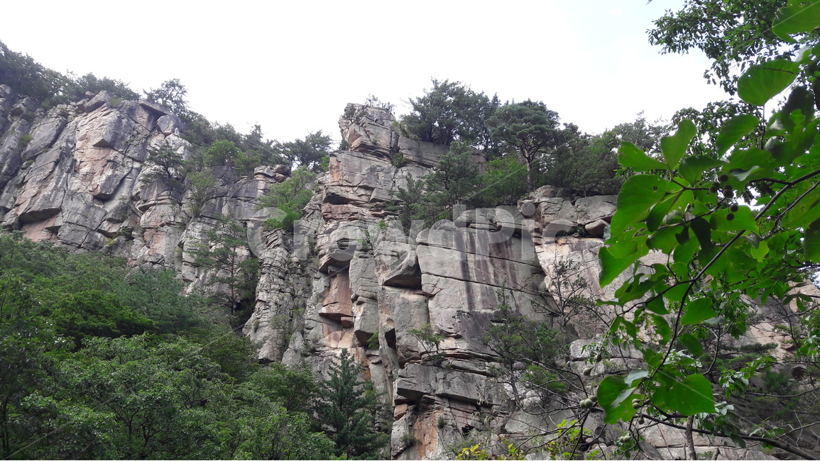 강원도,동해,두타산,무릉계곡,장군바위,병풍바위,자연,풍경,nature,landscape,outdoors,옥외,cliff,낭떠러지