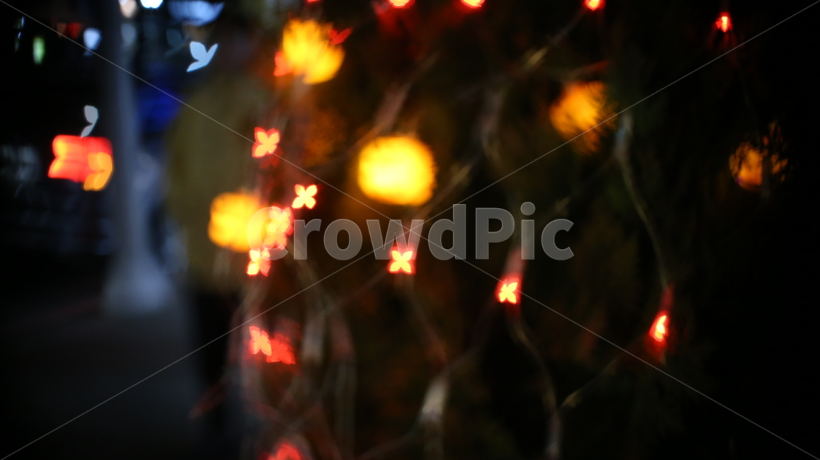 조명불빛,light,보케,bokeh,조명,꼬마전구