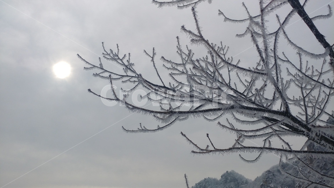 대둔산,나뭇가지,상고대,설경,눈꽃,겨울,진눈깨비,서리,눈,frost,twig,hoarfrost,snowyscene,snowylandscape,winter,snow,branch,겨울,계절,winter,season,자연,풍경,nature,landscape,outdoors,옥외
