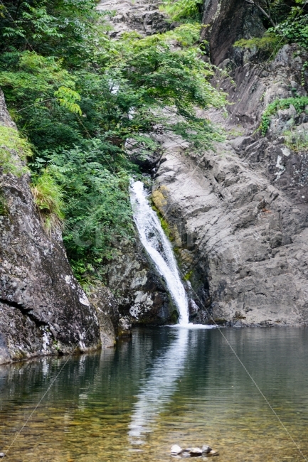 vertical photo,rest,Gamagol Ecological Park,nature,cool,Summer Vacation,clear,water,summer,healing,water play,waterfall,Damyang,Gamagol,sight,vacation