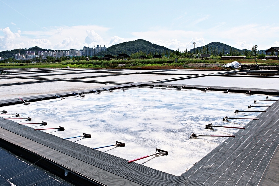 ecological park,sea water,saltern,salt,Siheung Gaetgol Ecological Park,nature,sight,Agriculture