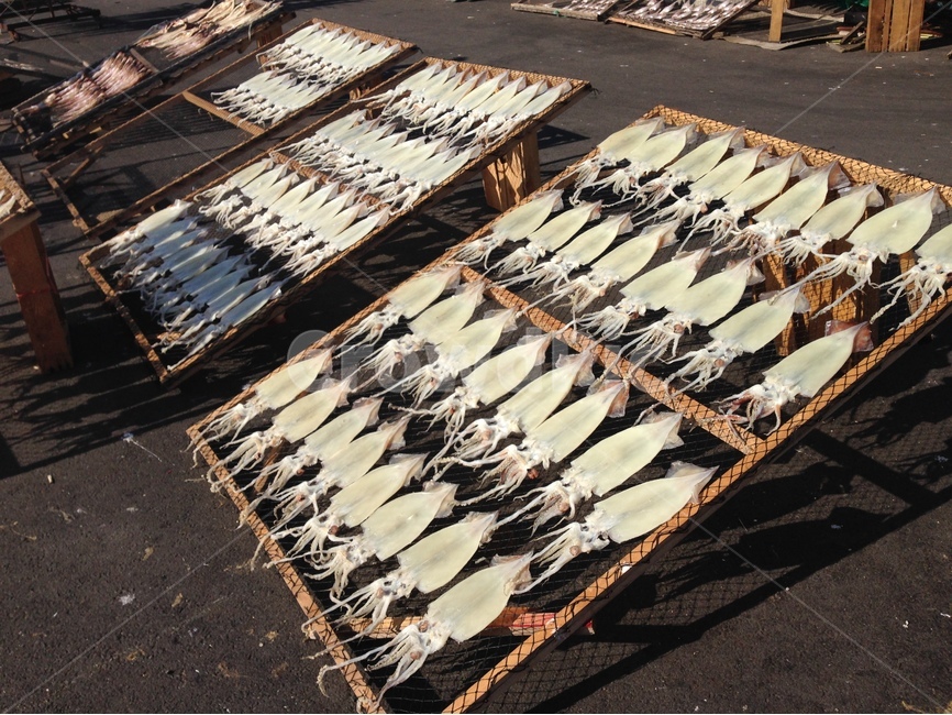 시장,물고기,날씨,어류,어시장,시장,마트,마켓,market,mart,market place,음식,식재료,요리,food,cook,meal,dishes,food reserves,수산물,해산물,fishery products,seafood,산업,industry,industrial,어업,fishery,fishing industry
