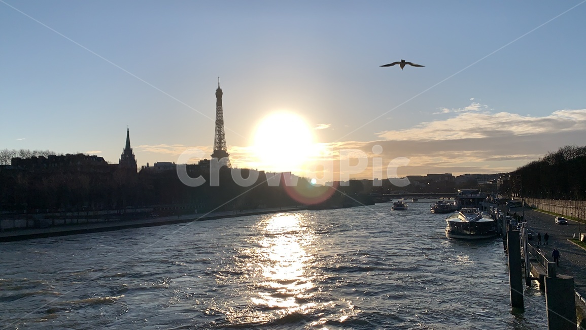 프랑스,파리,노을,france,paris,하늘,바다,비둘기,새,태양,구름,배경,풍경,빛,light,bird,animal,동물