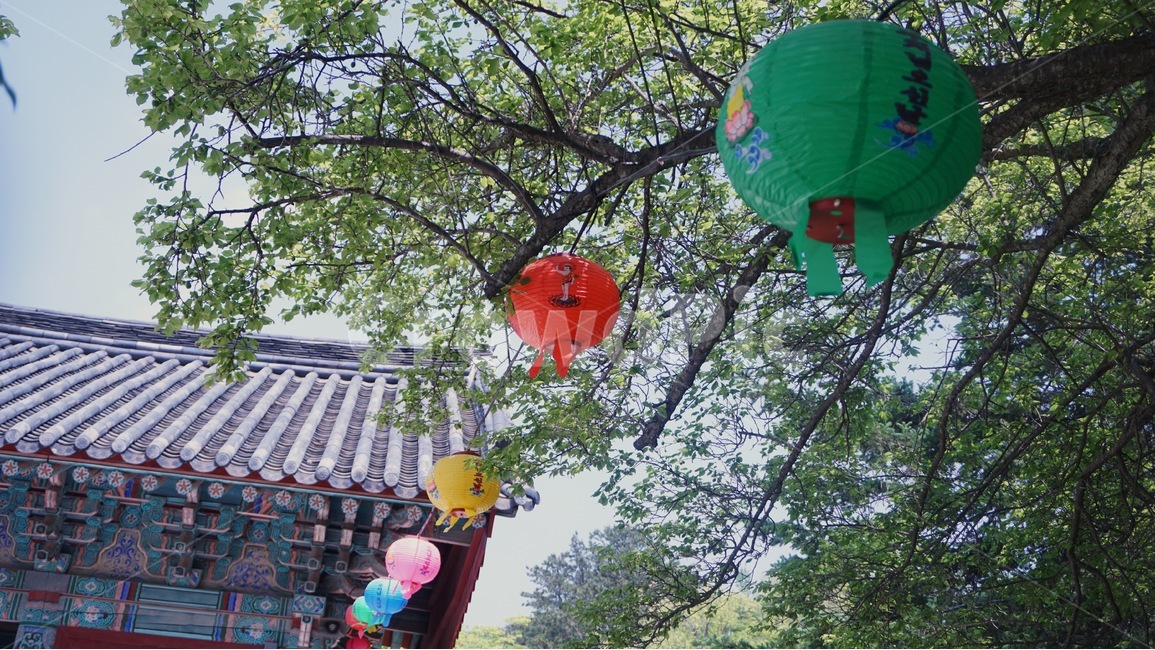 연등,절,경주,불국사,석가탄신일,한국,초록색,빨간색,부처님,연등축제,lotus,부처님오신날,사찰,한국역사,통일신라,unifiedsilla,대한민국,korea,republicofkorea,buddhasbirthday,bulguksa,한국전통,한국문화,korean traditional,korean culture,종교,신앙,religion,belief,faith,축제,행사,festival,carnival,event,기념일,축하,anniversary,congratulation,celebrate,celebration