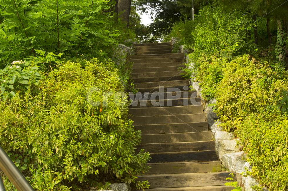 계단,돌계단,나무,산책,풀,scene,view,feeling,emotion,nature,landscape,season,풍경,감정,감성,자연,계절,뷰티,stairs,shrub,grass,풍경사진,감성사진,정취