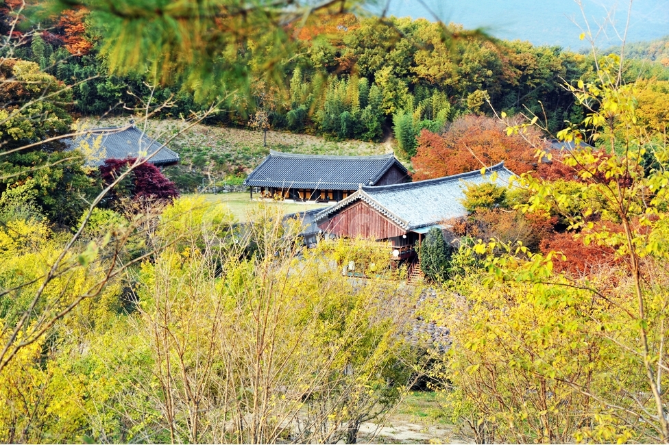 절,기와,전통가옥,불교,단풍,등산,숲,한옥,가을,계절,fall,autumn,season,자연,풍경,nature,landscape,한국자연풍경,한국자연경관,korea nature landscape,한국전통,한국문화,korean traditional,korean culture,종교,신앙,religion,belief,faith,outdoors,옥외,building,건물,housing,주택