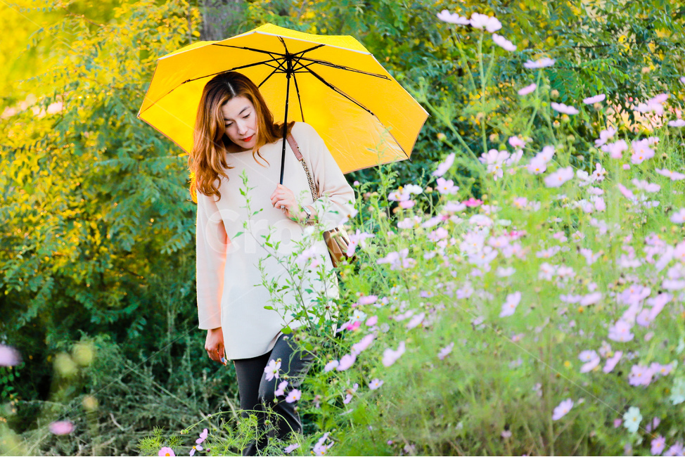 가을,꽃,코스모스,여인,모델,식물,자연,plants,nature,꽃,flower,사람,인물,인간,human,person,여성,여자,woman,female,lady