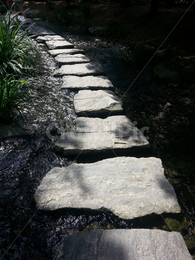 여름,돌다리,세미원,물,시원함,자연,풍경,nature,landscape