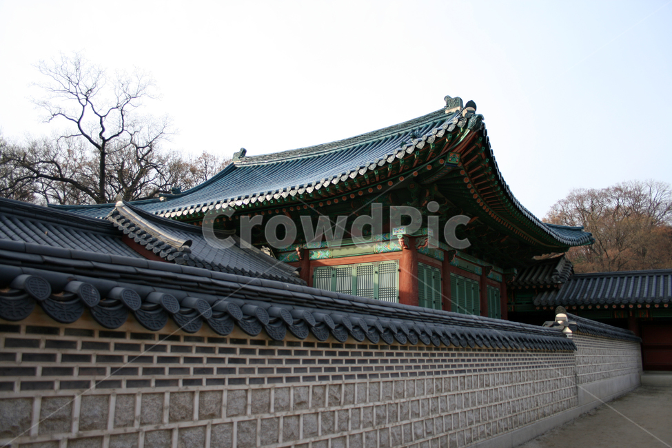 창덕궁,선정전,한국의궁,세계문화유산,문화유산,한국,전각,한국전통,한국문화,korean traditional,korean culture,랜드마크,landmark,tourist attraction,한국랜드마크,한국관광지,한국명소,korea landmark,korea tourist attraction,건축물,건물외관,exterior,building,structure,architecture,construction