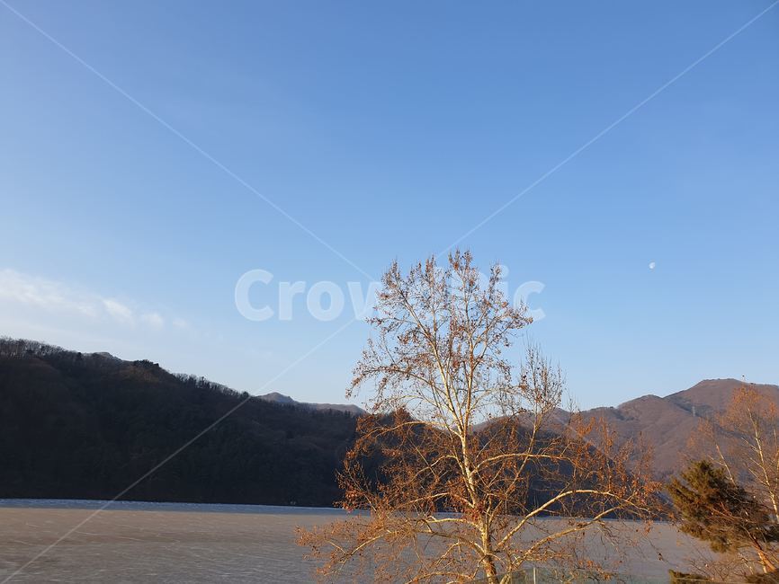 가평,청평,강,산,자연,나뭇가지,외로움,쓸쓸함,고독,나무,겨울,하늘,sky,blue,자연,풍경,nature,landscape,outdoors,옥외