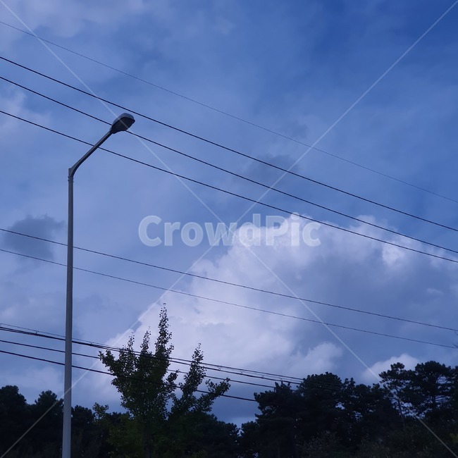 케이블,전력선,cable,가로등,하늘,자연,나무,nature,파란하늘,tree,sky,자연,풍경,nature,landscape,power lines,electric transmission tower,송전탑