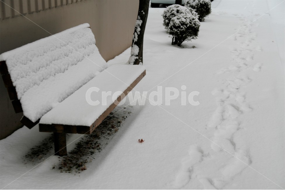 폭설,겨울,풍경,벤치,발자국,나무,눈,계절,겨울,계절,winter,season