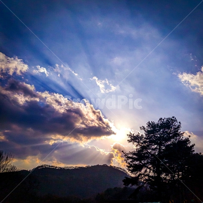 flare,플레어,light,빛,nature,자연,outdoors,weather,날씨,sunlight,햇빛,하늘