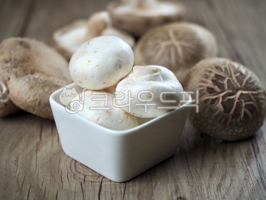 양송이,양송이버섯,버섯,채소,자연식품,건강한식생활,야채,음식,채식,자연음식,요리재료,흰색,whitemushroom,wellbeingfood,vegetable,mushroom,food,vegetariandiet,naturalfood,cookingingredients,표고버섯