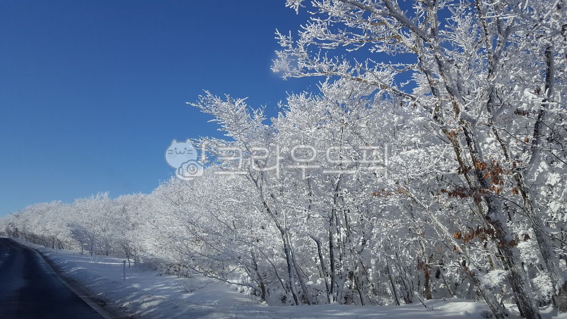 winter mountain,snow,hallasan road,winter road