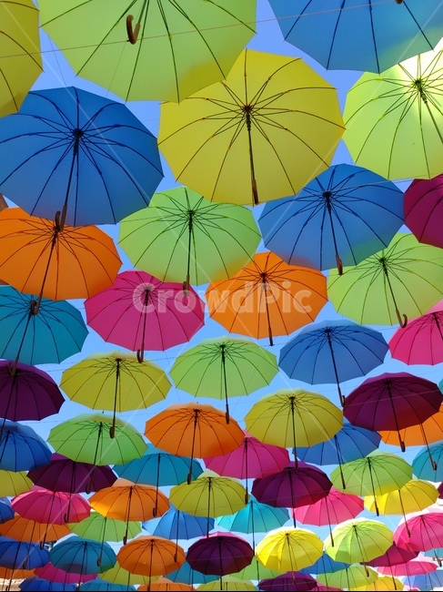 umbrella,우산,color,배경,디자인