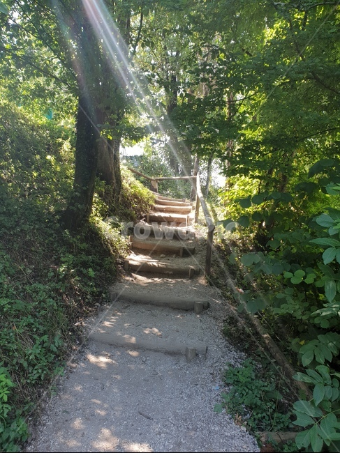 계곡,협곡,슬로베니아,빈트가르,gorge,valley,vintgar,빛,숲,햇빛,나무,자연,풍경,경관,landscape,path,오솔길,숲길,자연,풍경,nature,landscape,arbour,정자,garden,정원,outdoors,옥외