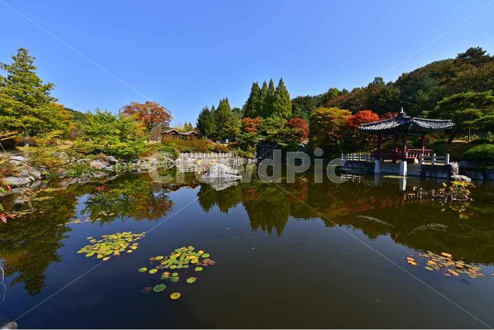 nature,자연,outdoors,옥외,architecture,건축물,water,물,plant,식물,tree,나무,현충원,국립현충원,국립,현충지,추색,가을,계절,만추,단풍,단풍잎,반영,정자,경치,경관,풍경