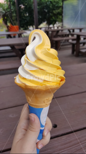 여름,망고,아이스크림,소프트아이스크림,콘
